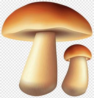Раскраска грибы для детей #21 #54211