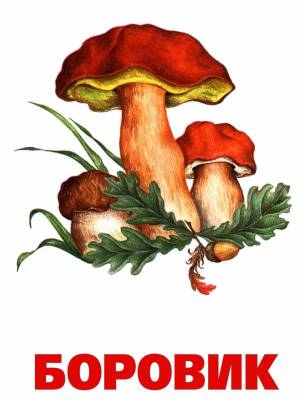 Раскраска грибы для детей #22 #54212