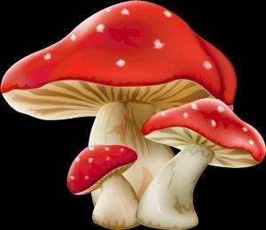 Раскраска грибы для детей #23 #54213