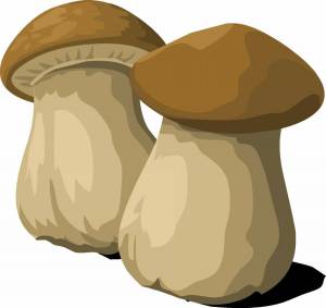 Раскраска грибы для детей #24 #54214
