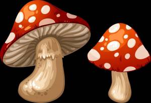 Раскраска грибы для детей #29 #54219