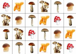 Раскраска грибы для детей #34 #54224
