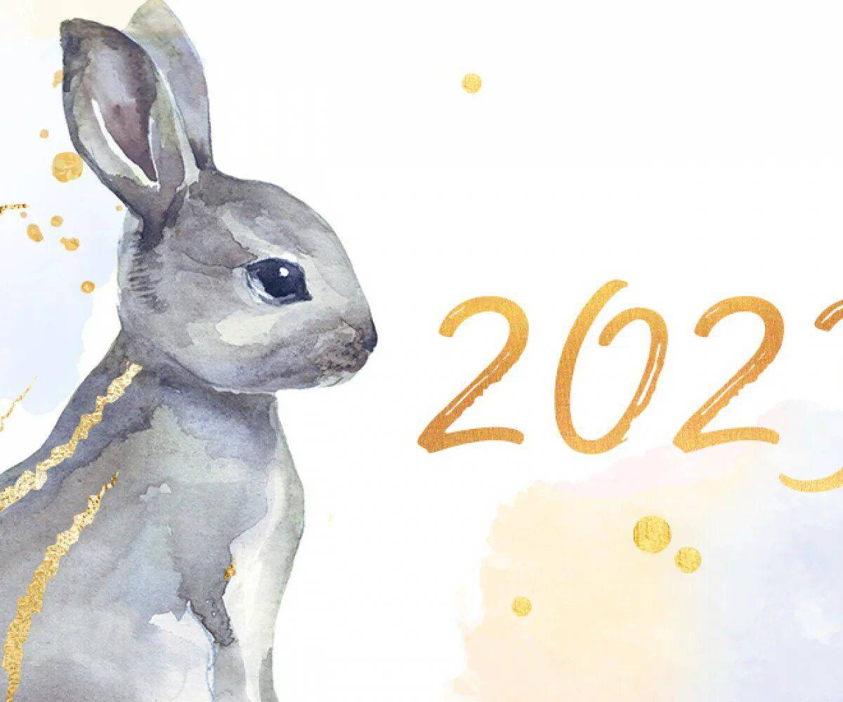 Год кролика #20