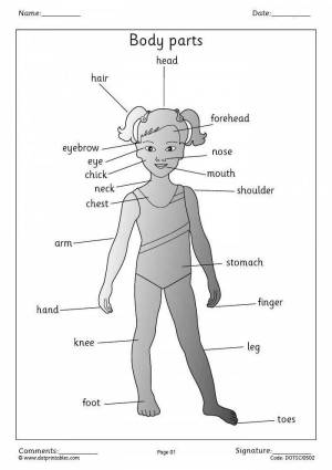 Раскраска части тела на английском #22 #556437