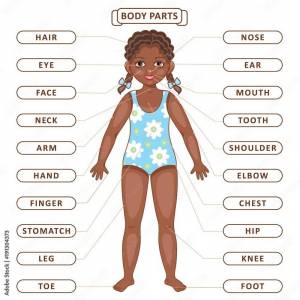 Раскраска части тела на английском для детей #6 #556460