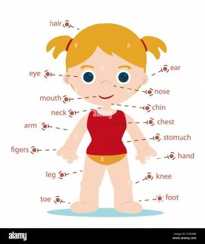 Раскраска части тела на английском для детей #11 #556465
