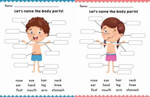 Раскраска части тела на английском для детей #30 #556484