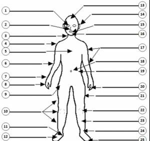 Раскраска части тела человека #20 #556513