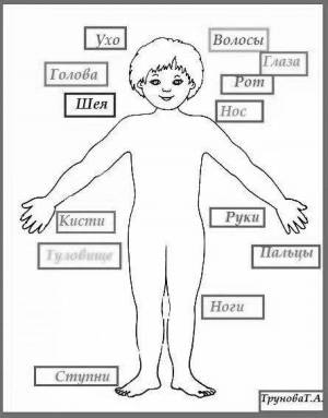 Раскраска части тела человека #26 #556519