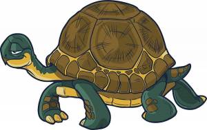 Раскраска черепаха адопт ми #14 #559095
