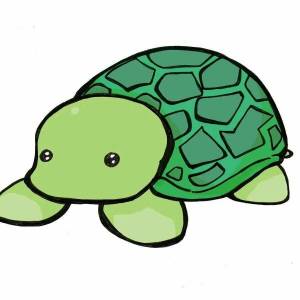 Раскраска черепаха адопт ми #15 #559096