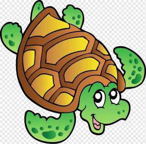 Раскраска черепаха рисунок #5 #559178