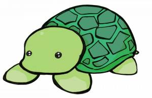 Раскраска черепаха рисунок #10 #559183