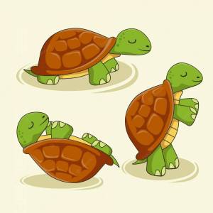 Раскраска черепаха рисунок #18 #559191