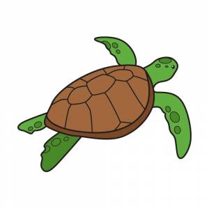 Раскраска черепаха рисунок #23 #559196