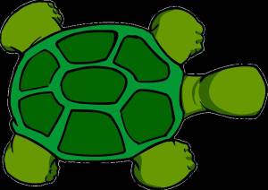 Раскраска черепаха рисунок #24 #559197