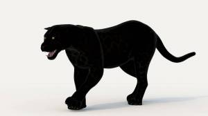Раскраска черная пантера для детей #3 #559604