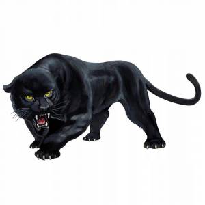 Раскраска черная пантера для детей #9 #559610