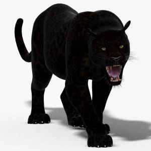Раскраска черная пантера для детей #17 #559618