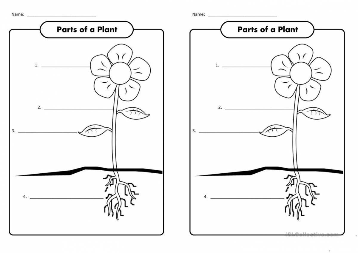 Части растения 1 класс #32