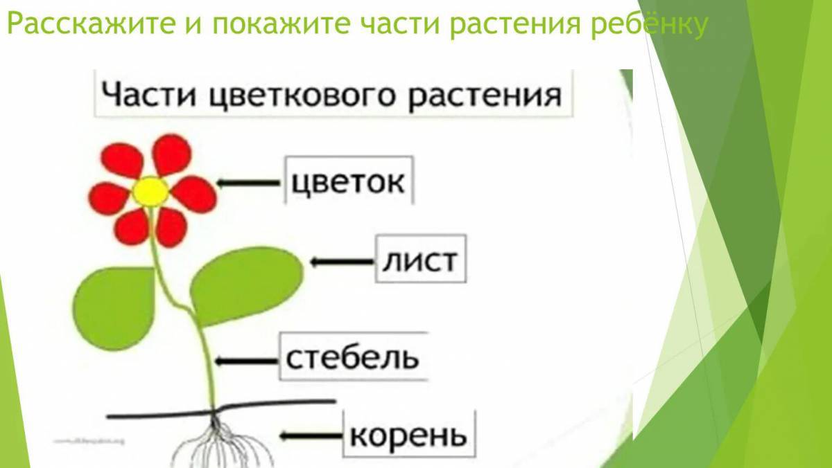 План конспект 1 класс окружающий мир