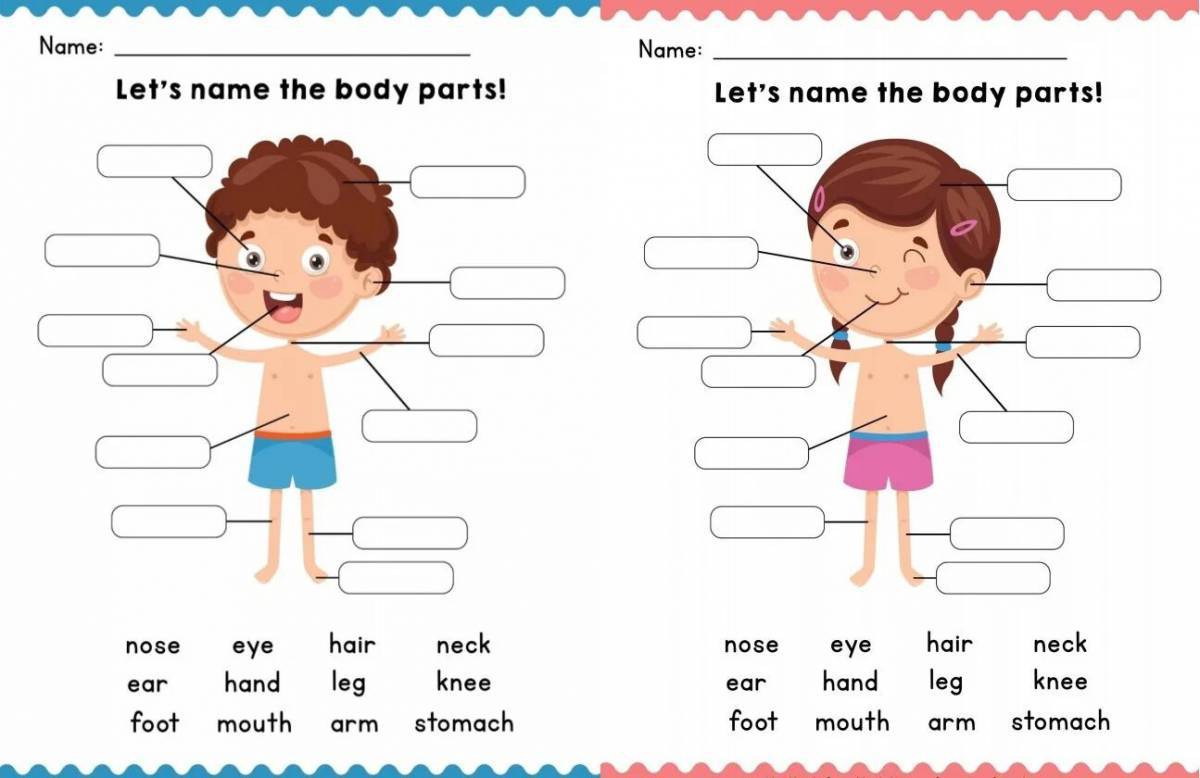 Части тела на английском для детей #30