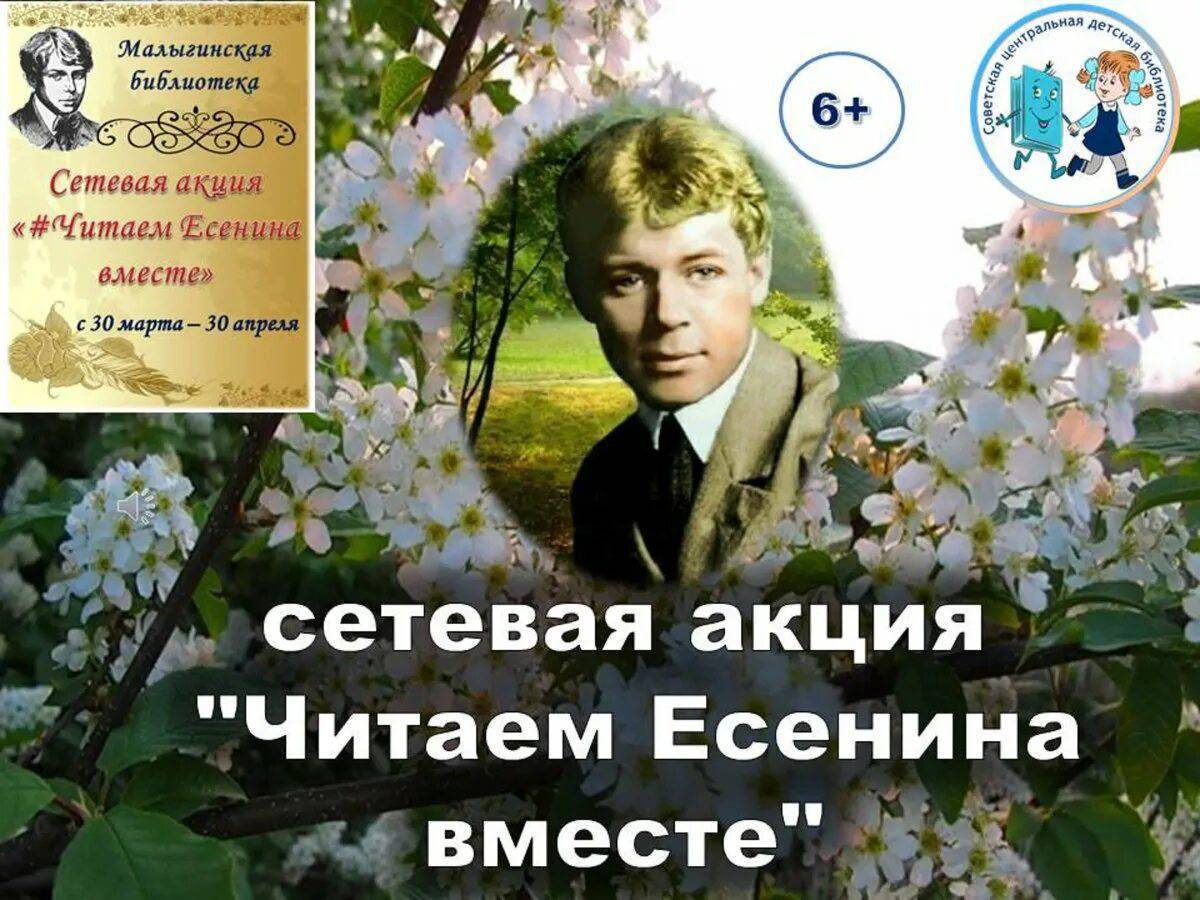 Черемуха есенин #23