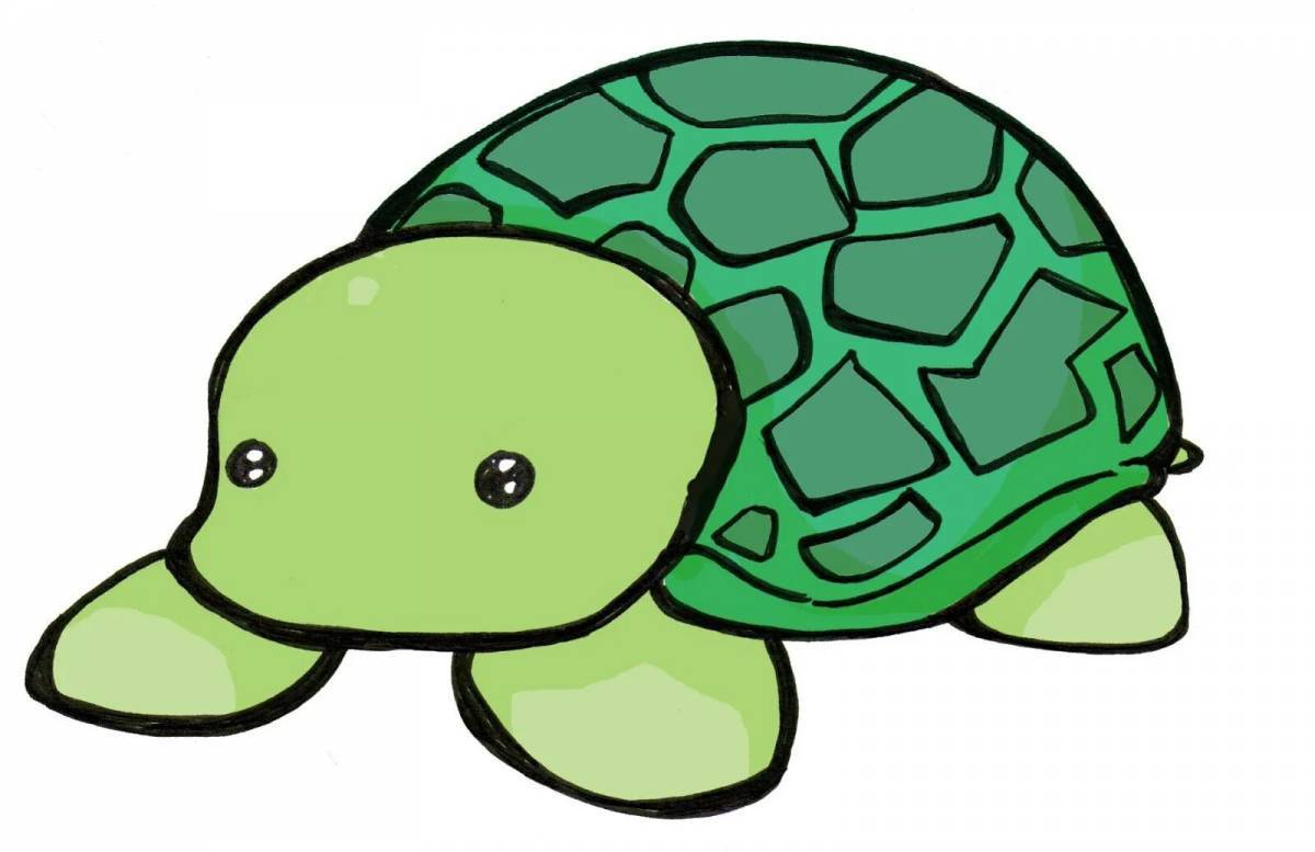 Черепаха рисунок #10