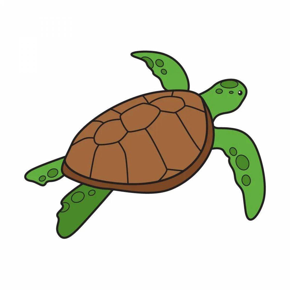 Черепаха рисунок #23