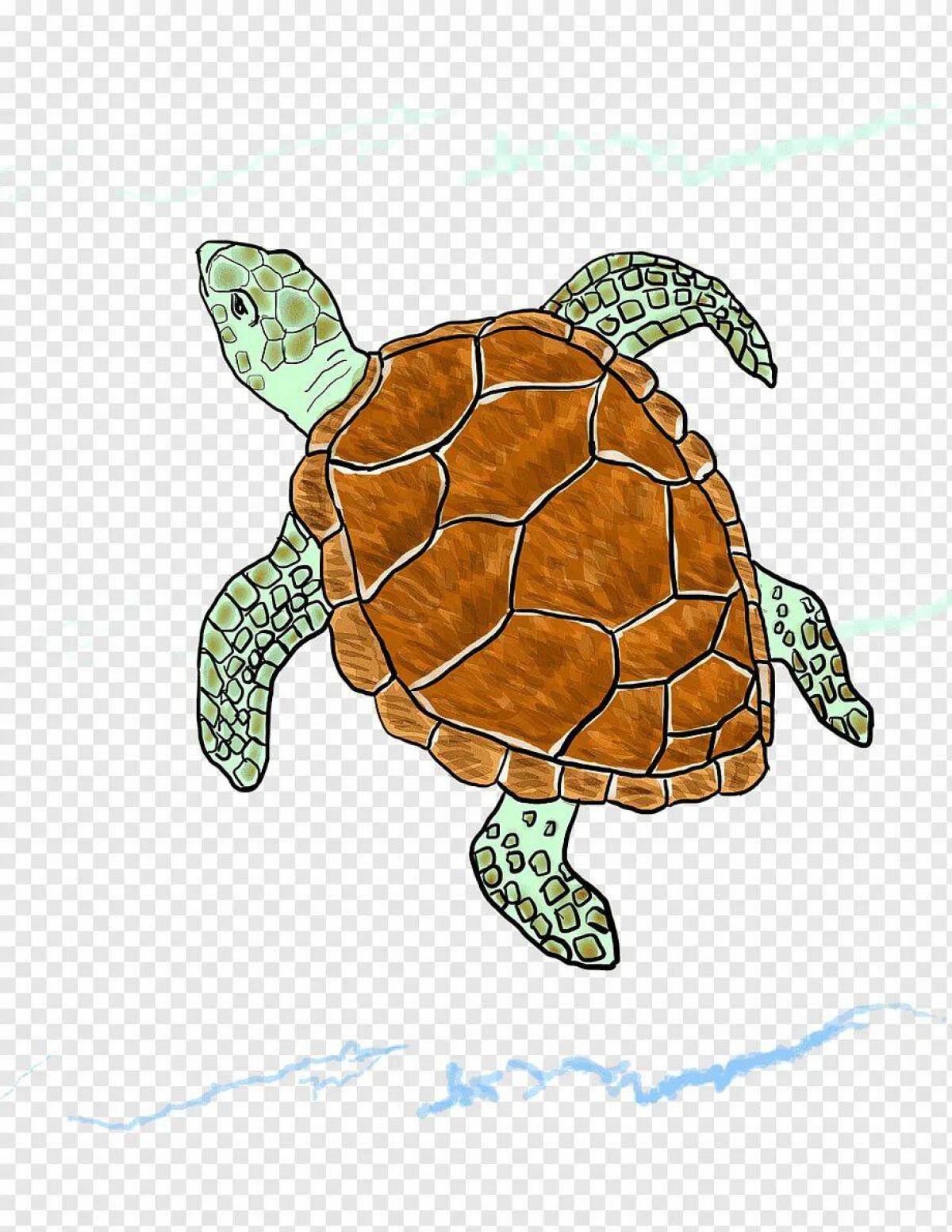 Черепаха рисунок #27