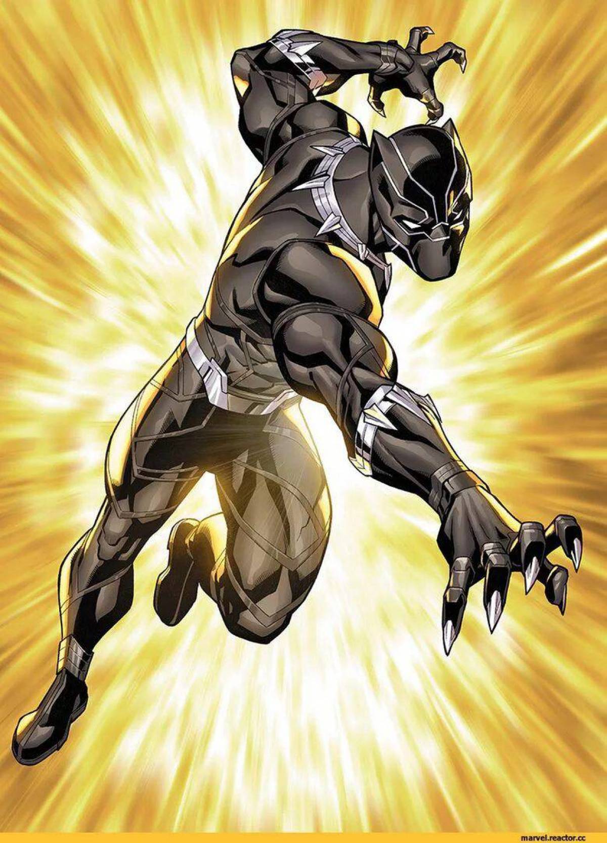 Черная пантера супергерой #19