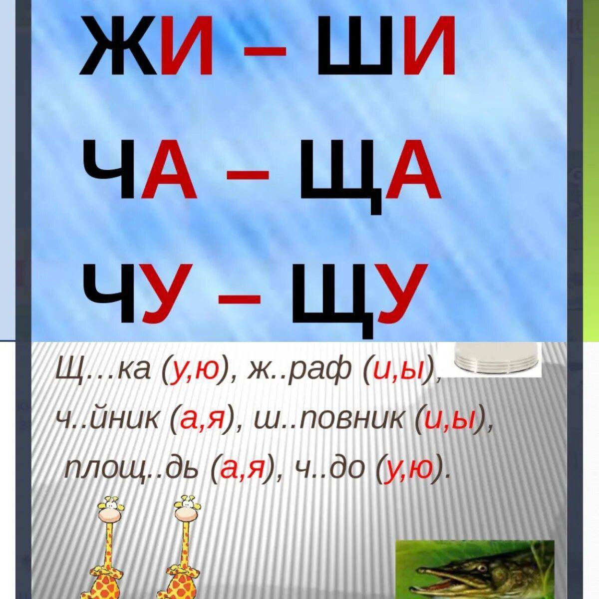 Жи ши ча ща 1 класс. Буквосочетанияжи-ши-ча-ща-Чу-ЩУ. Жи ши ча ща Чу ЩУ. Буквосочетания жи ши. Буквосочетания ча ща.