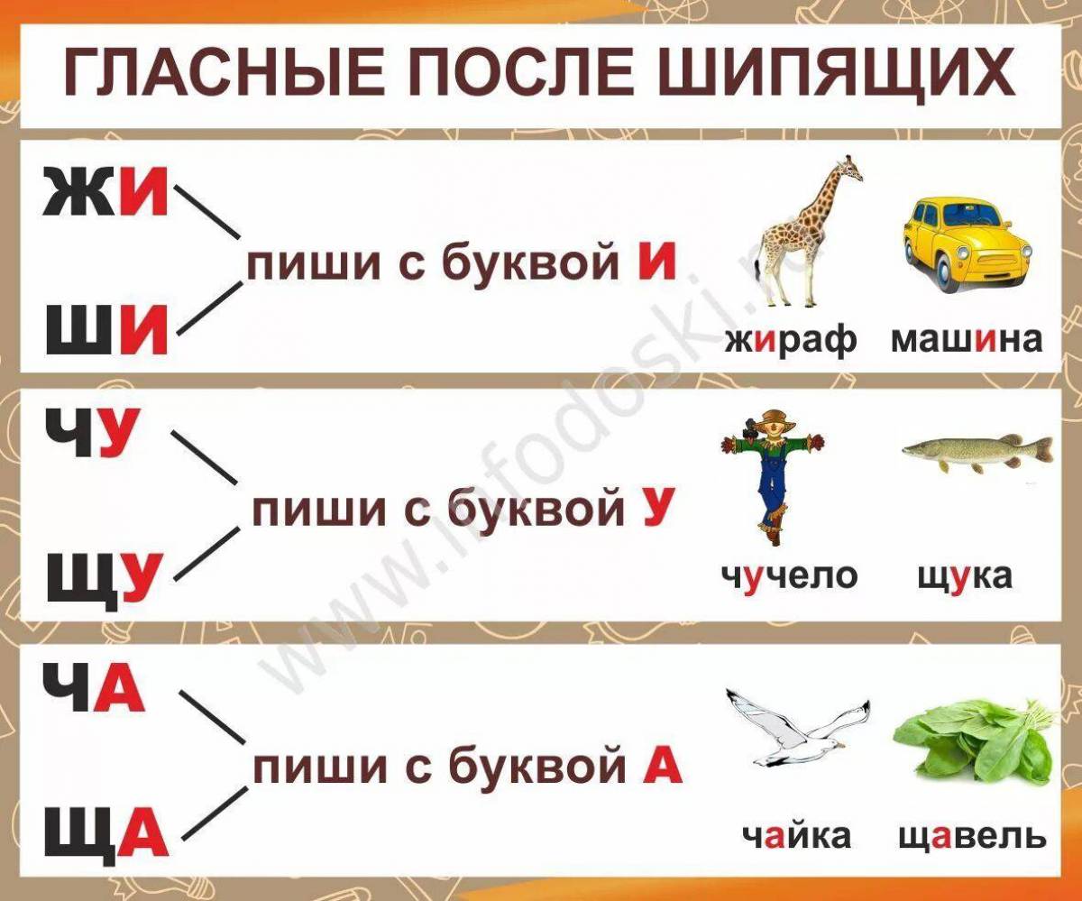 Слова на ча. Правописание гласных после шипящих правило 2 класс. Правописание гласных после шипящих 1 класс школа России. Правописание гласных после шипящих 1 класс правило. Гласнеые послешипящих.