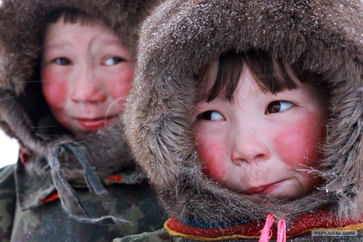 Картинки чукчи красивые