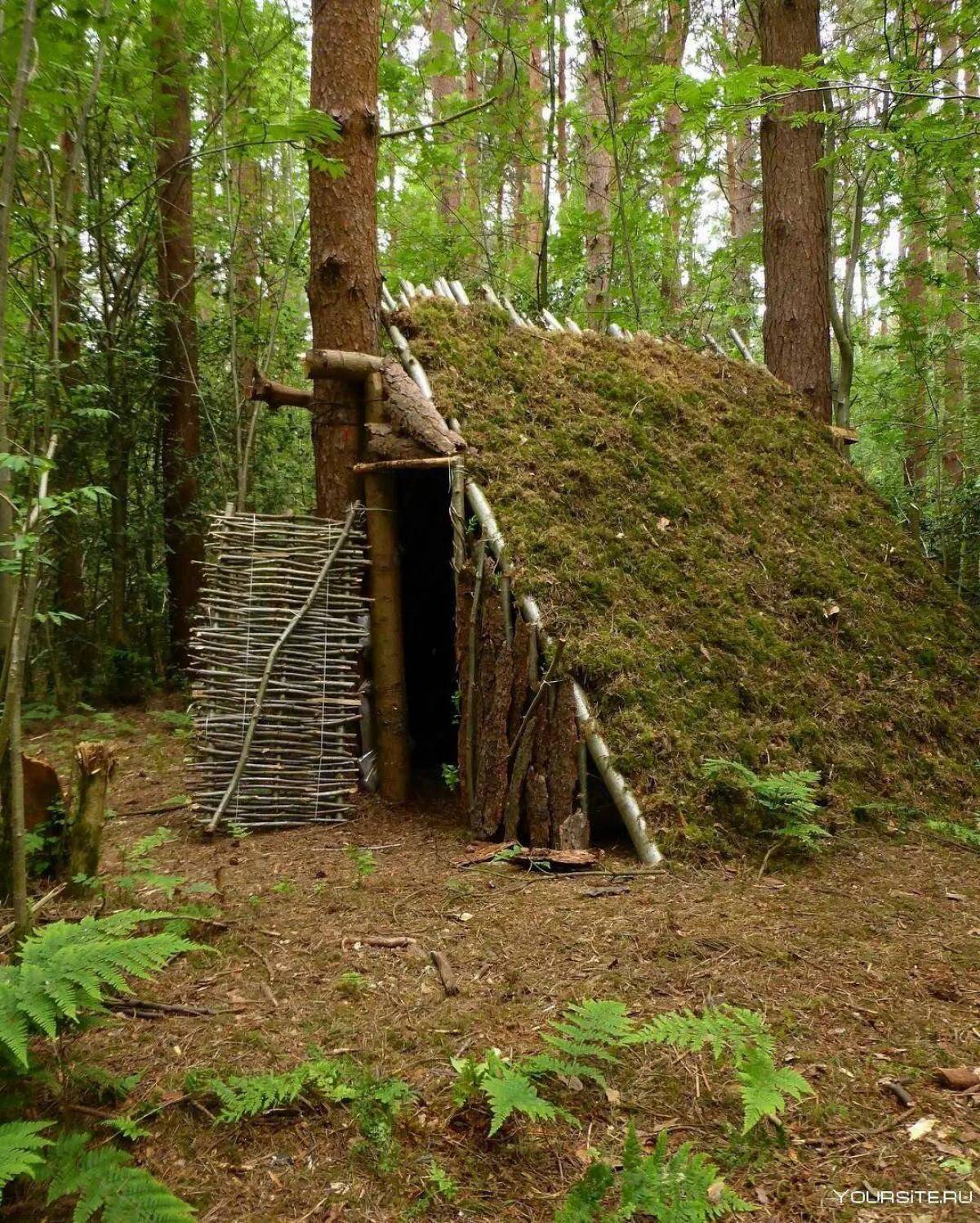 Строим дом в лесу своими руками. Бушкрафт шалаш. Бушкрафт Хижины. Лесная Хижина бушкрафт. Бушкрафт жилище.