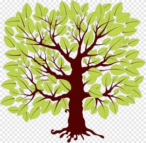 Раскраска шаблон дерево #16 #562154
