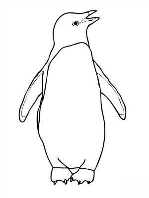 Раскраска шаблон пингвин #19 #562299