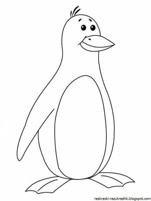 Раскраска шаблон пингвин #31 #562311