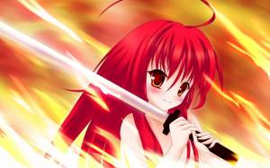 Раскраска шана #29 #562905