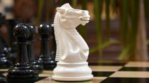 Раскраска шахматный конь #2 #564162