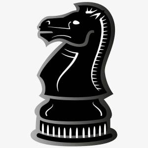 Раскраска шахматный конь #8 #564168