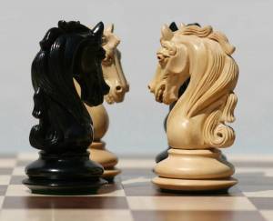 Раскраска шахматный конь #17 #564177
