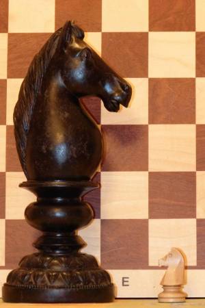 Раскраска шахматный конь #31 #564191