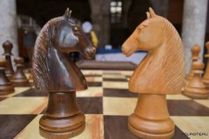 Раскраска шахматный конь #34 #564194