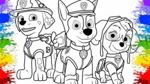 Раскраска щенячий патруль для детей 4 5 лет #28 #567567