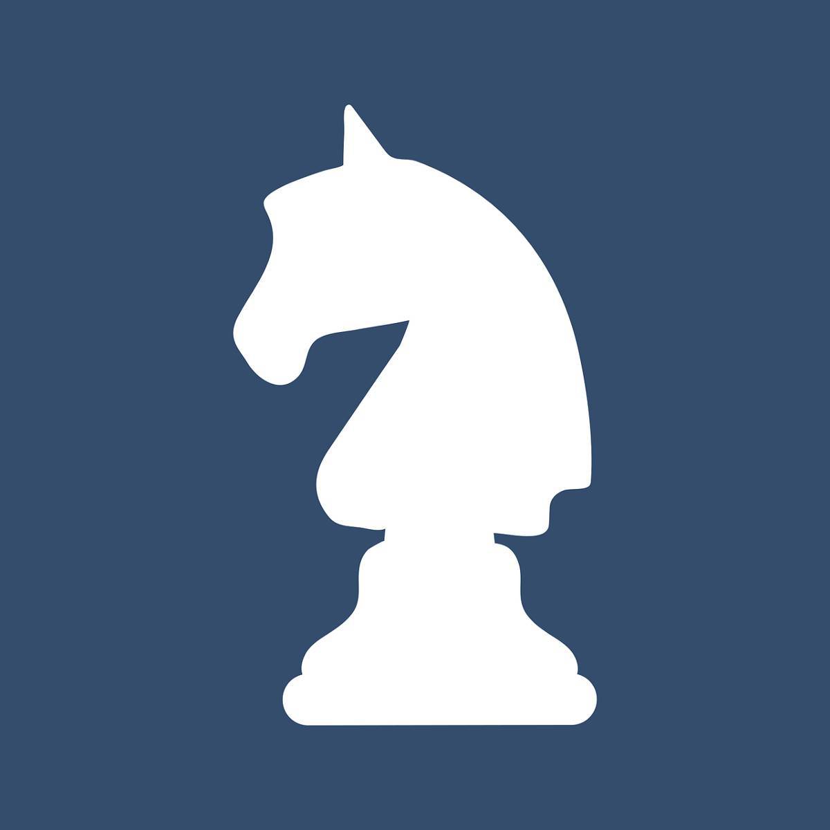 Шахматный конь #19