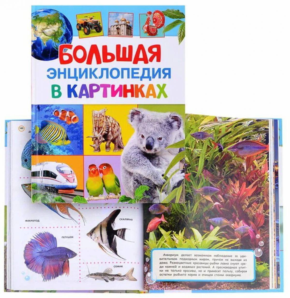 Купить Книгу Энциклопедия