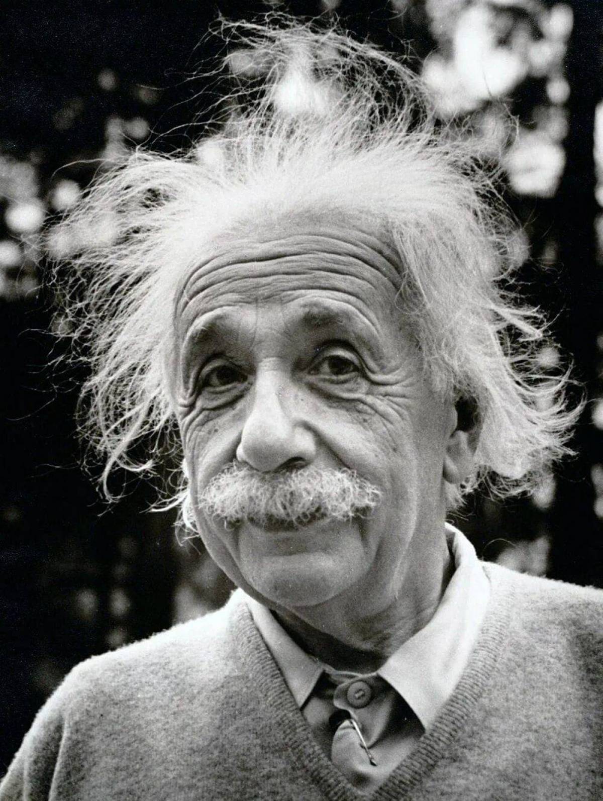 Эйнштейн #5