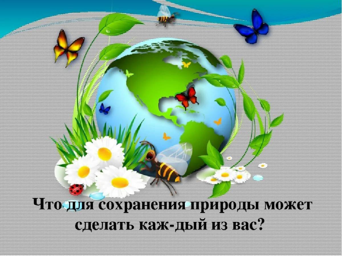 Мероприятие по экологии для начальных классов с презентацией