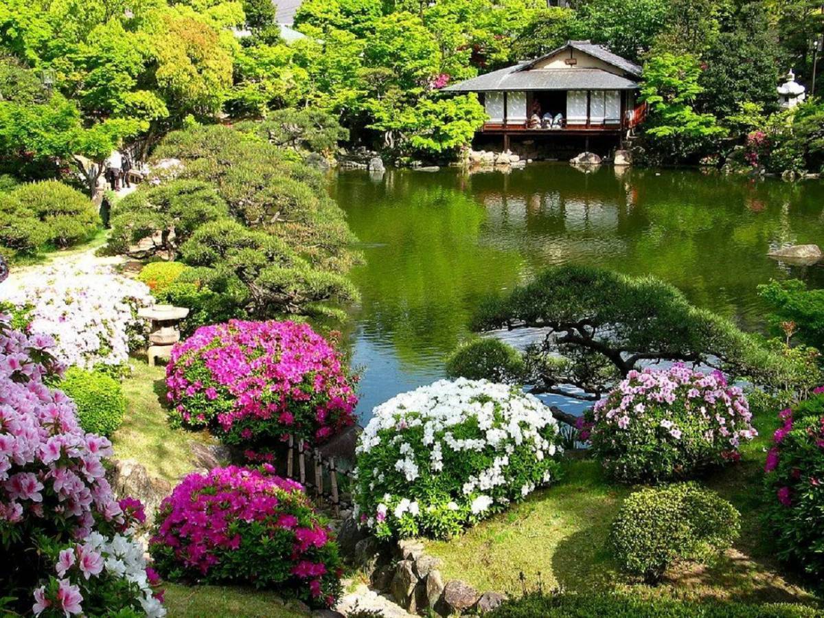 Ландшафтный пейзажный сад Японии